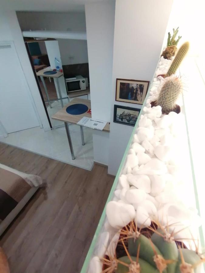 Apartman Dunja S Белград Экстерьер фото